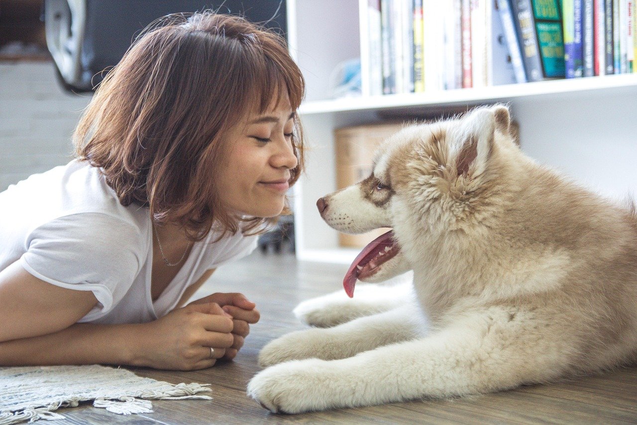 Gentle, Positive Interactions (image credits: pixabay)