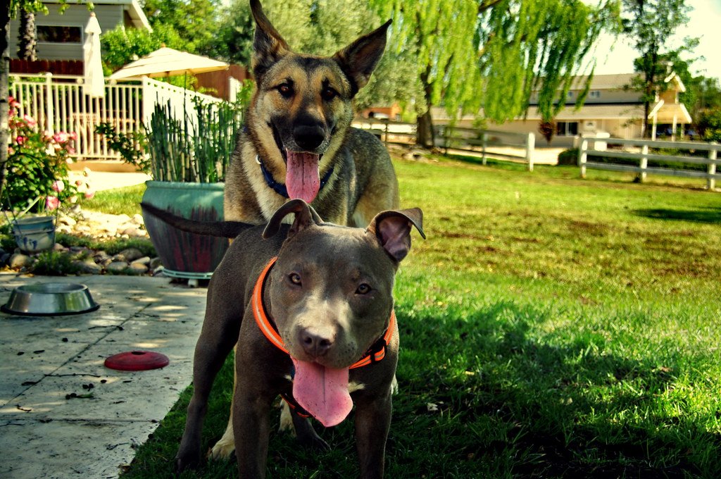 Watch for Signs of Overheating (image credits: flickr)