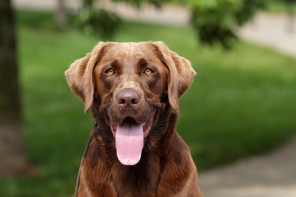 Teaching Boundaries and Manners (image credits: flickr)