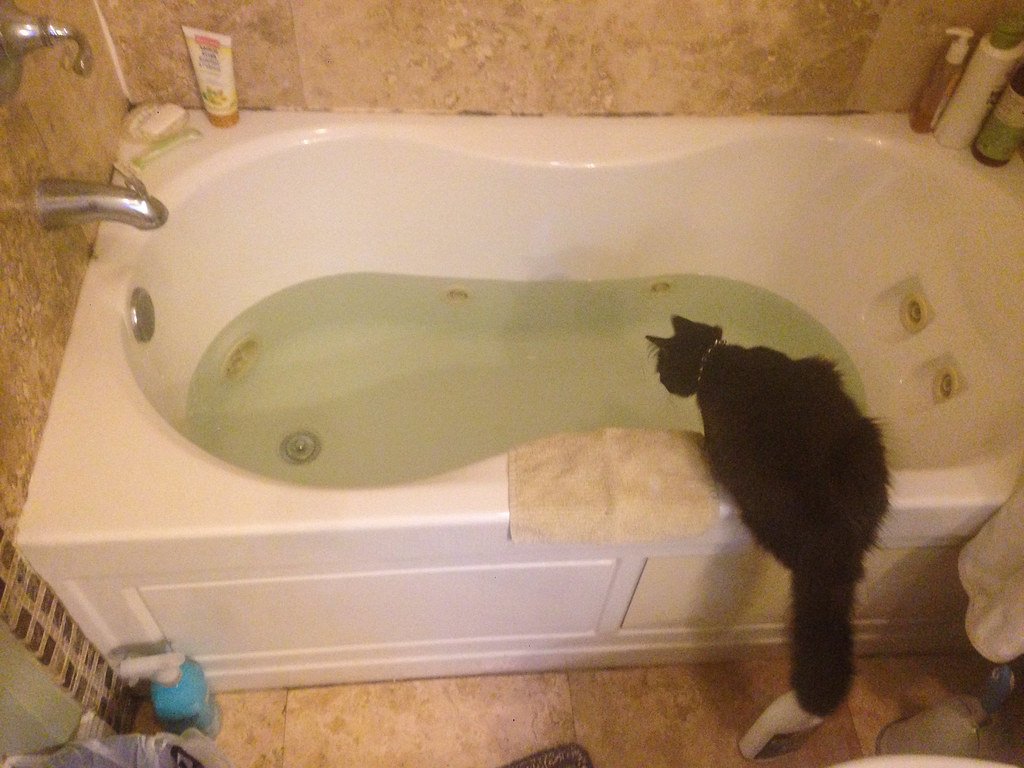 Bathroom Sinks and Bathtubs: The Curiosity Spot (image credits: flickr)