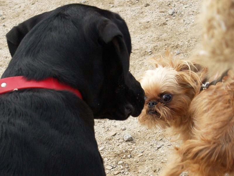 Reading Subtle Body Language (image credits: flickr)