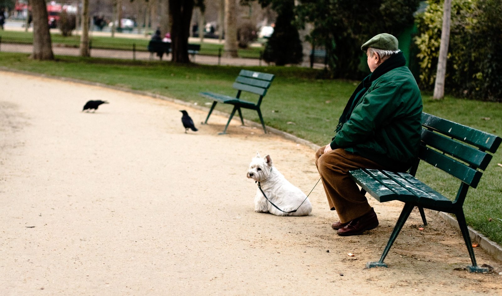 Rushed Walks: When Quality Beats Quantity (image credits: wikimedia)