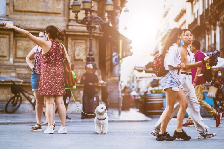 The When Dogs Start Hating Walks: Signs You’re Doing It All Wrong
