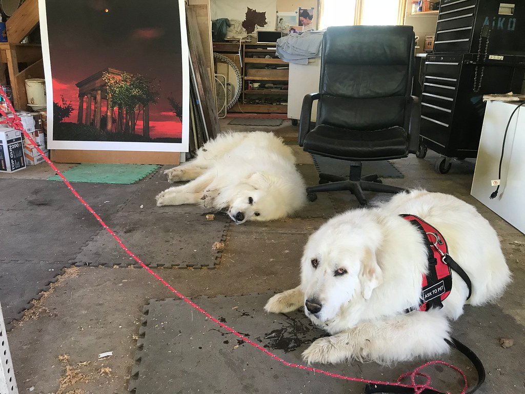 Anxiety: The Unseen Consequence (image credits: flickr)