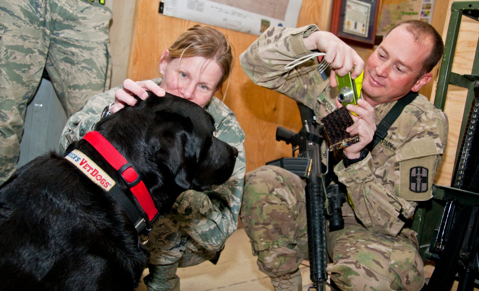 6. Overwhelming Them with Too Much Attention (image credits: wikimedia)