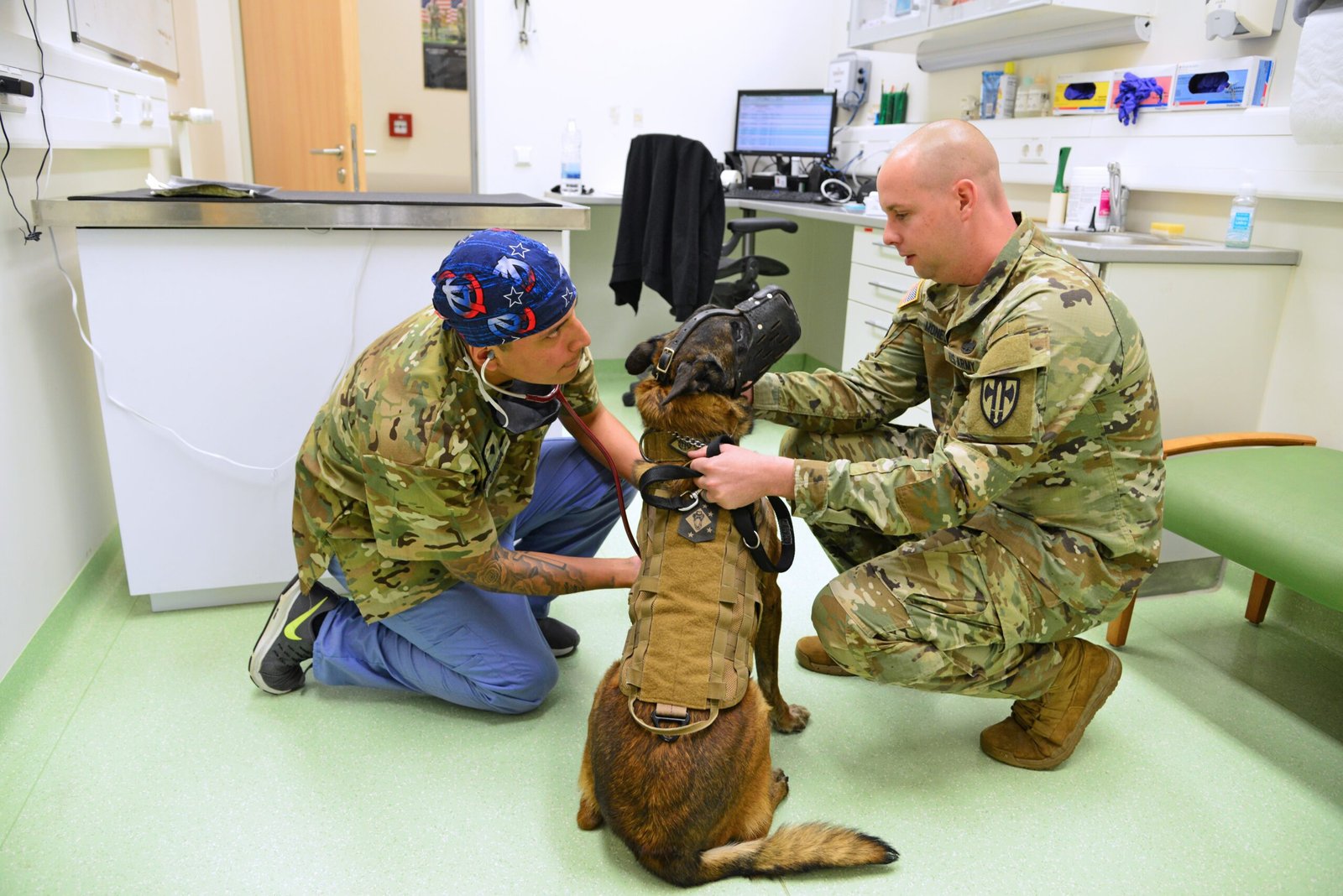 Veterinary Visits (image credits: wikimedia)