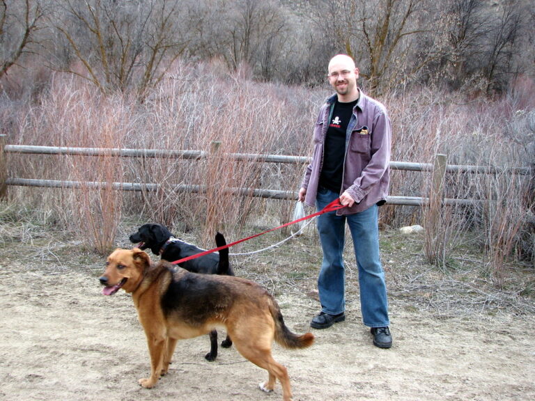 10 National Parks Where You Can Hike With Your Dog