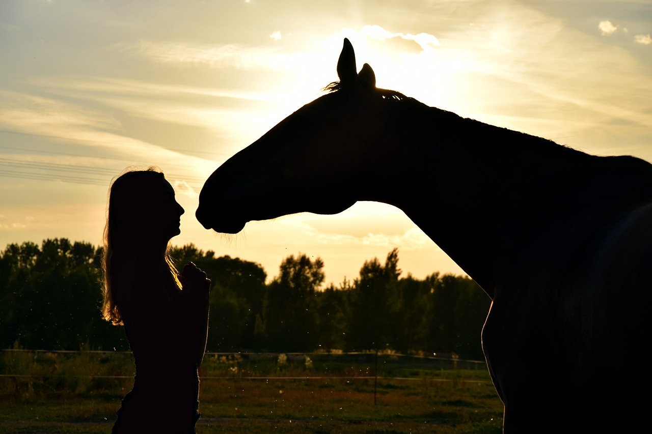 Shifting Body Posture (image credits: pixabay)
