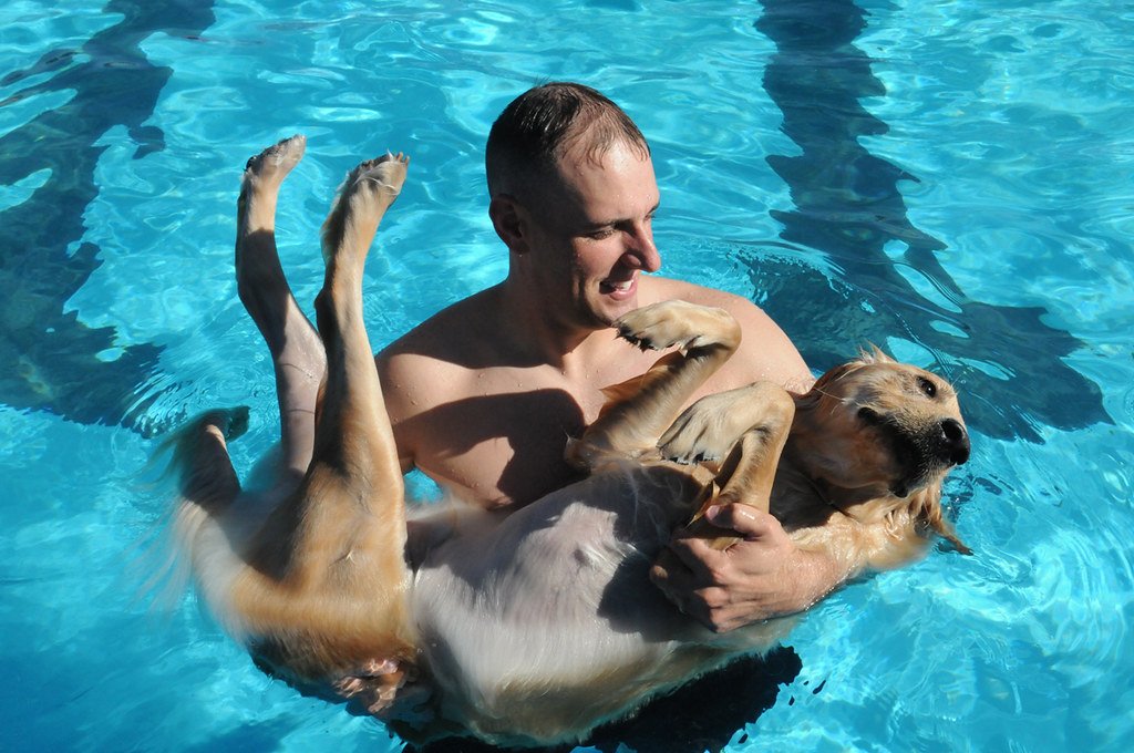 Conclusion (image credits: flickr)