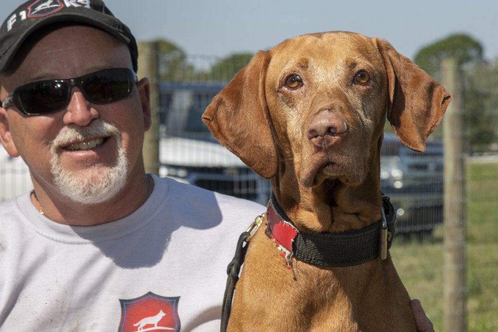 10 Ways To Show A Shelter Dog They Deserve The Best