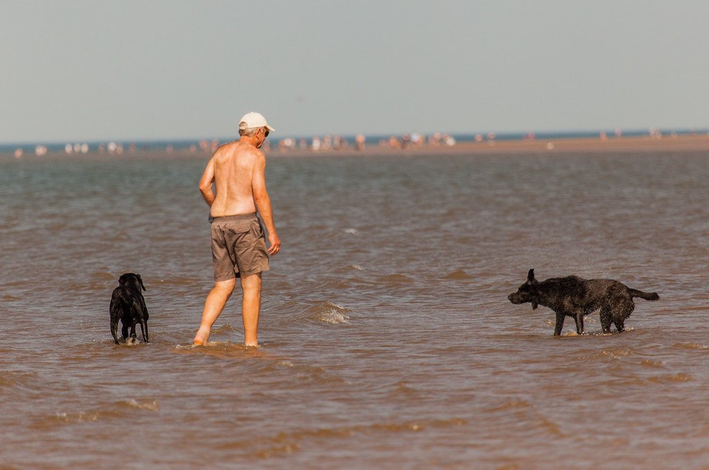 Energy Levels: Matching Pace and Personality (image credits: flickr)