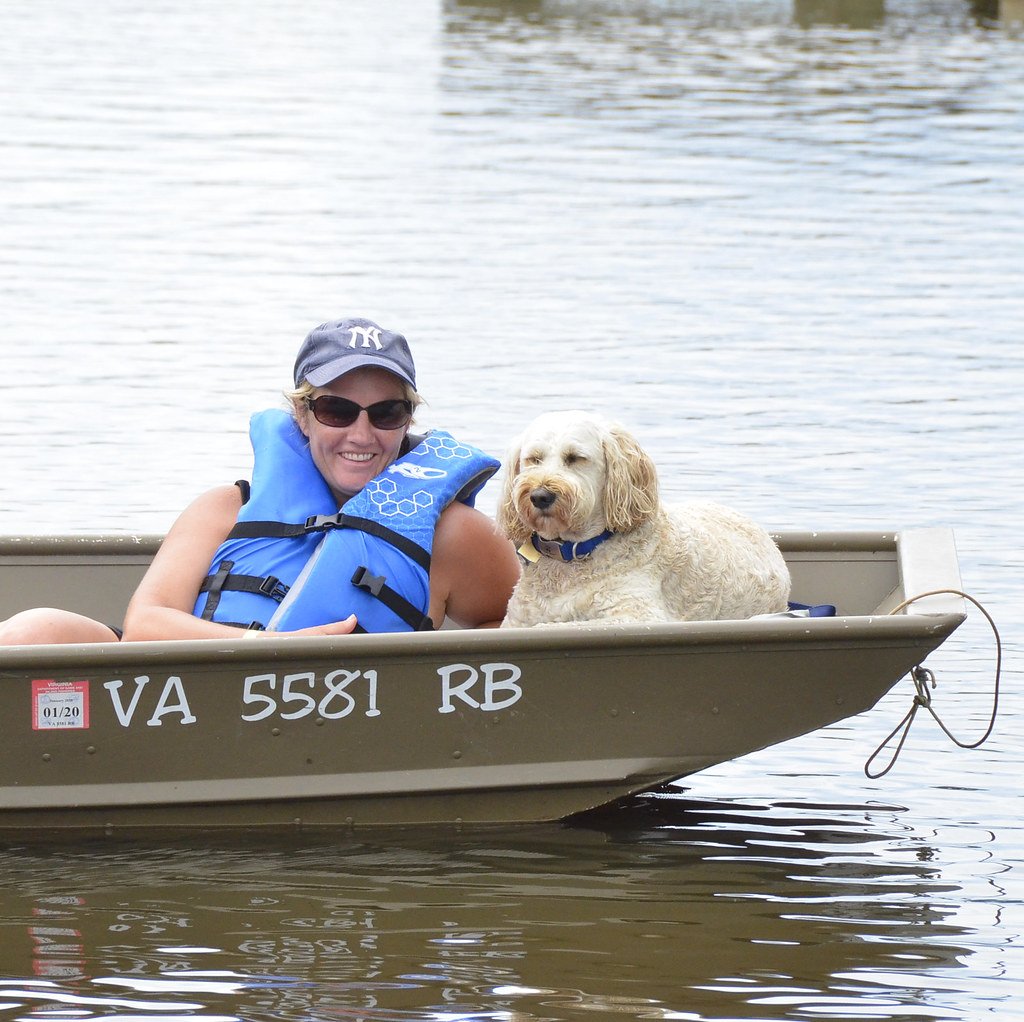 Lake Buchanan: Wide Open Spaces for Canine Exploration (image credits: flickr)