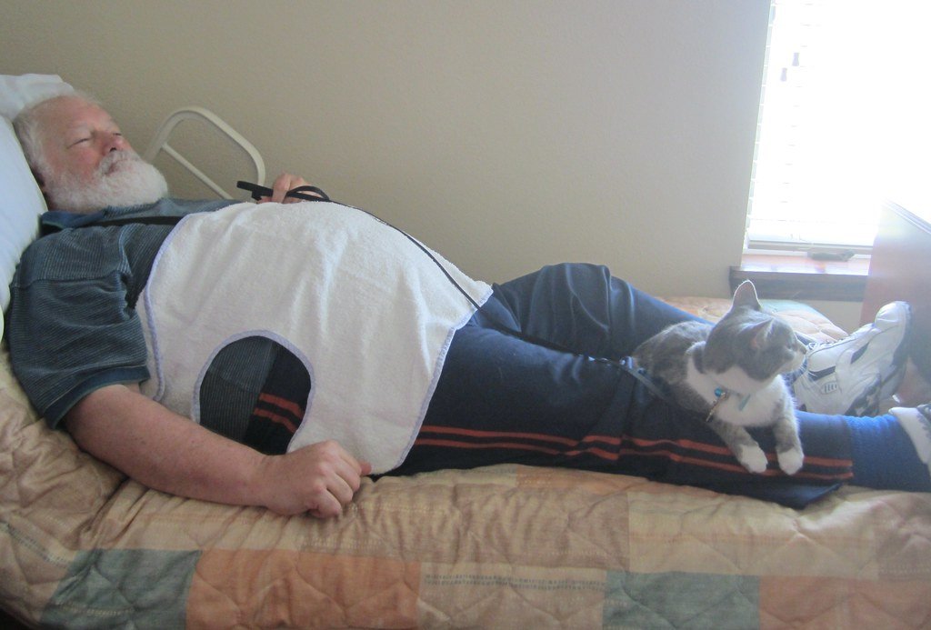 Calm Companionship (image credits: flickr)