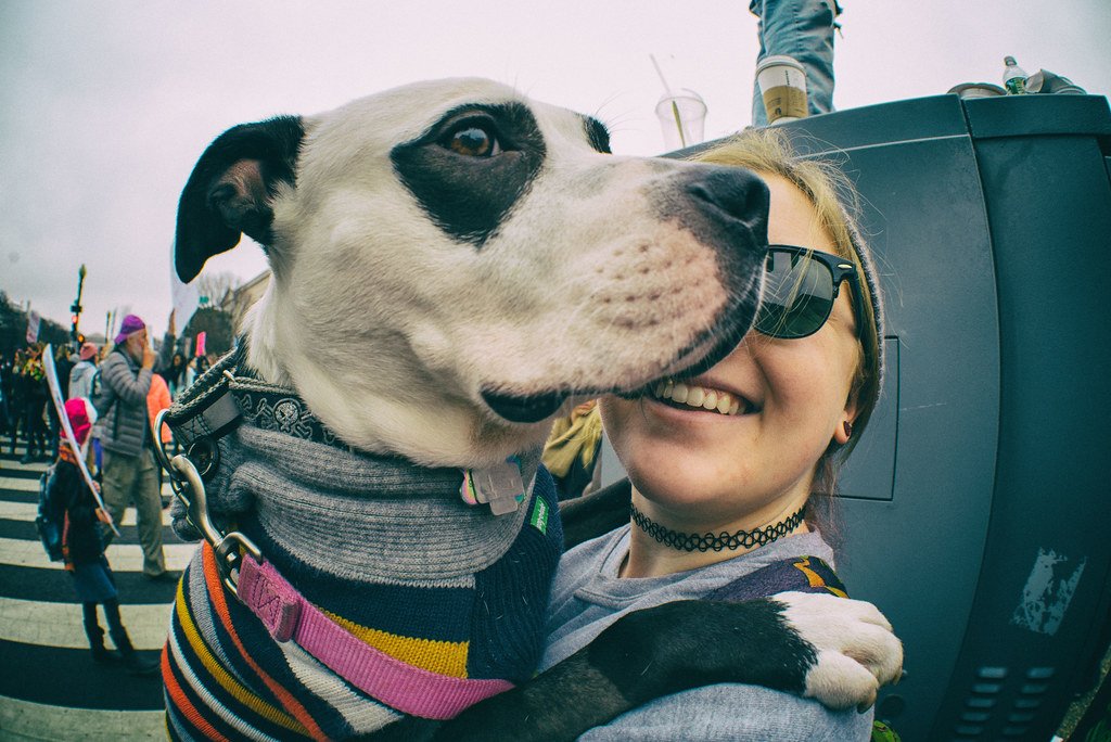 The Morning Nose Boop Wake-Up Call (image credits: flickr)