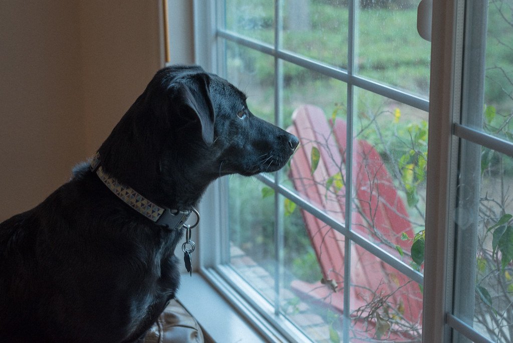 The &ldquo;Checking On You&rdquo; Glance (image credits: flickr)