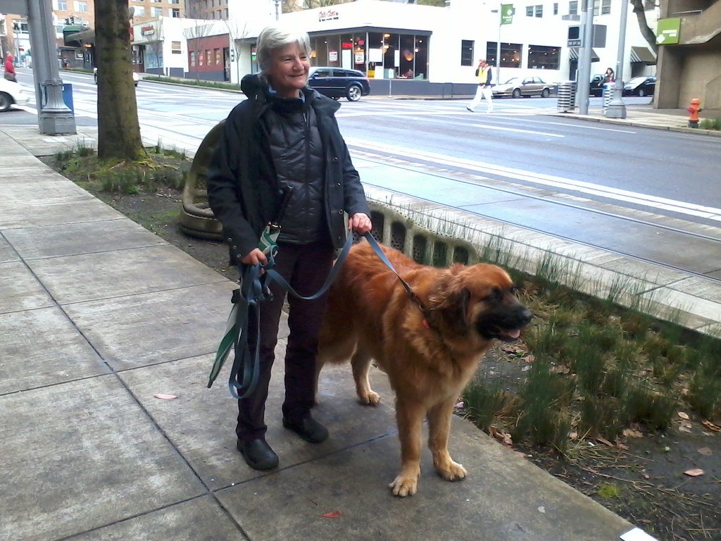 Portland, Oregon: The City of Canine Culture (image credits: flickr)