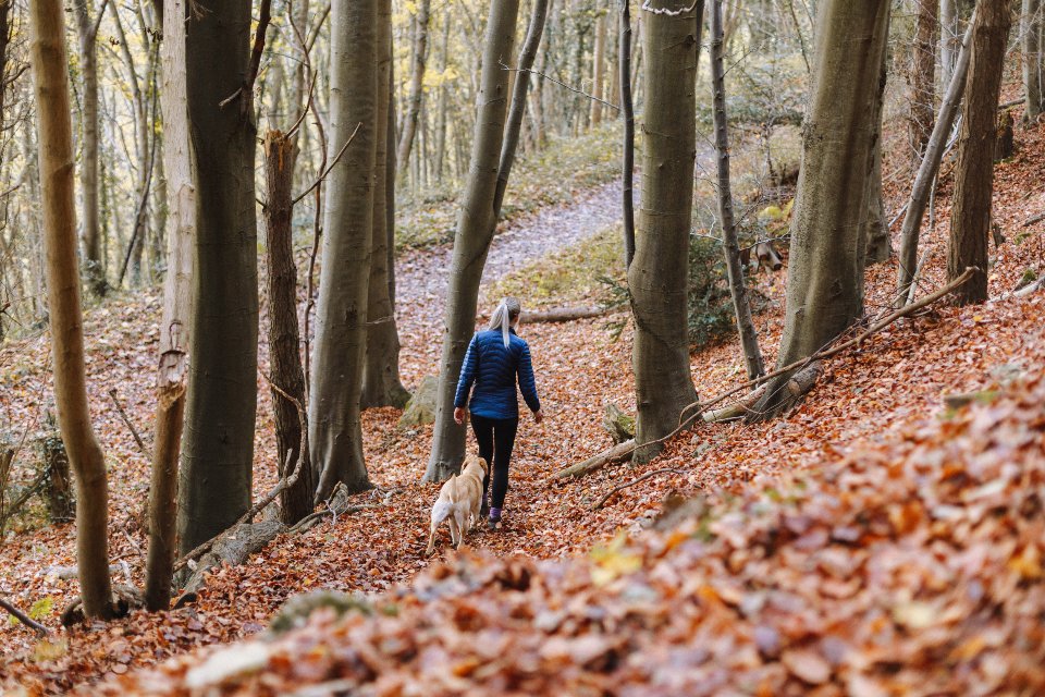 Cuyahoga Valley National Park: Midwestern Marvel (image credits: stocksnap)