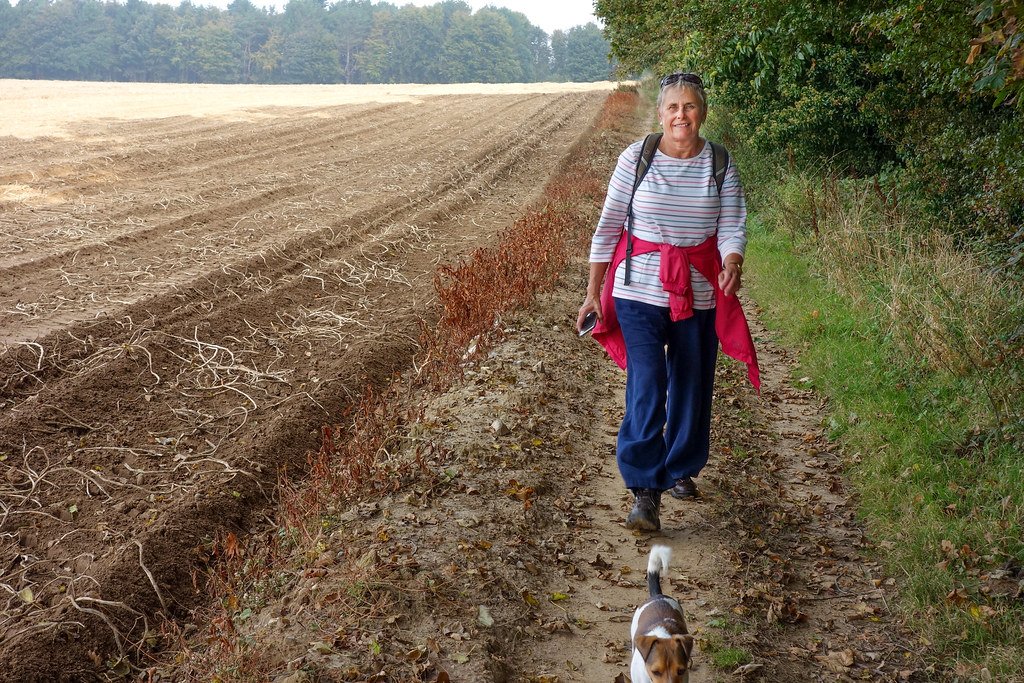 12 Dogs That Love Long Walks — and 8 That Prefer the Couch Life