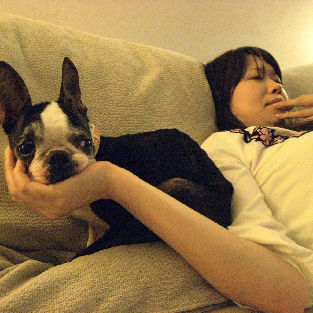 10 Dog Breeds That Adapt Well to Apartments — and 5 That Need a Backyard