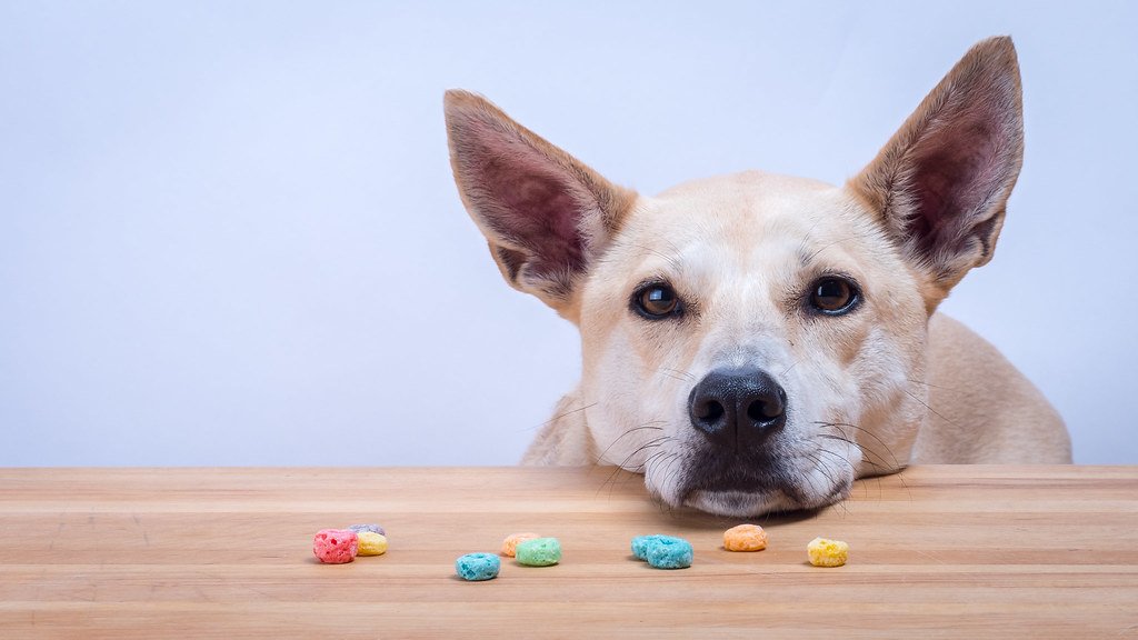 Cantaloupe: Cool and Refreshing (image credits: flickr)