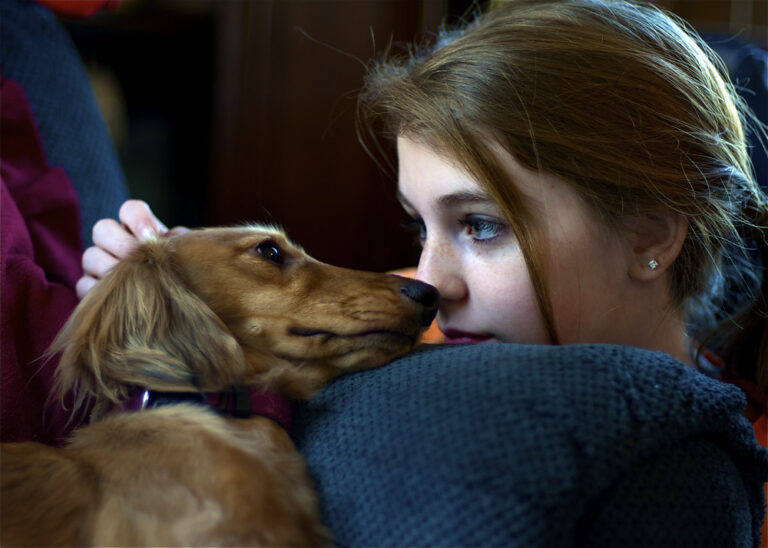 10 Touching Dog Changes That Only Happen When They Finally Feel Safe