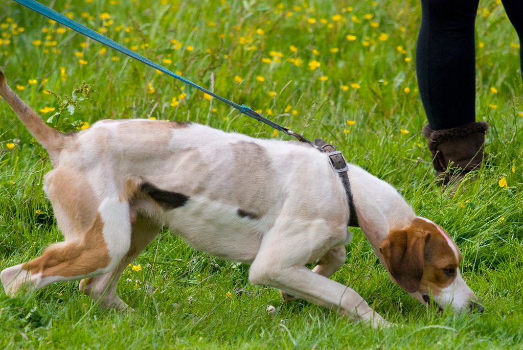 Scent: The Invisible Hourglass (image credits: flickr)