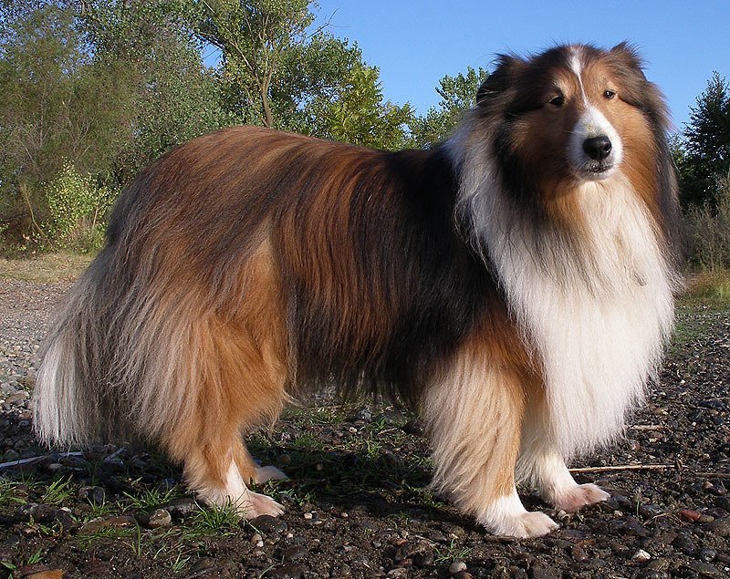 Conclusion (image credits: flickr)