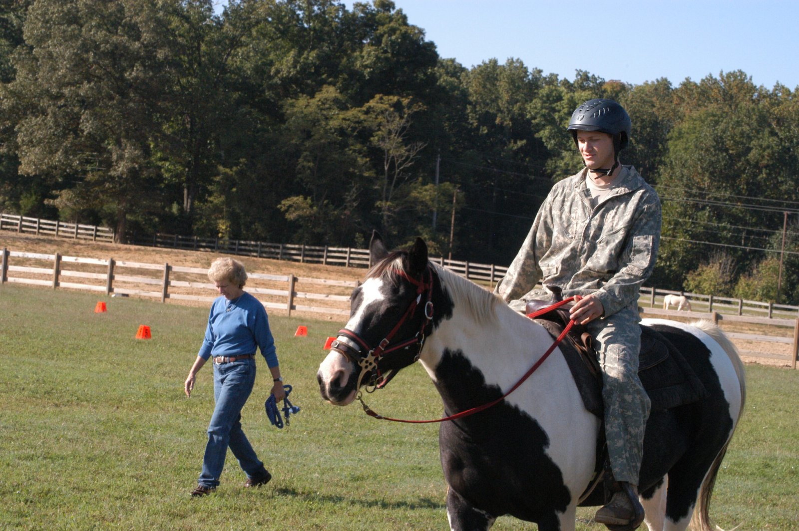 They Offer Purpose and Routine (image credits: wikimedia)