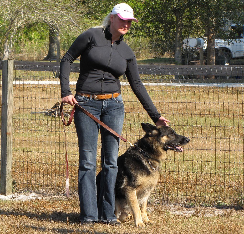 Don't Forget About Training and Socialization