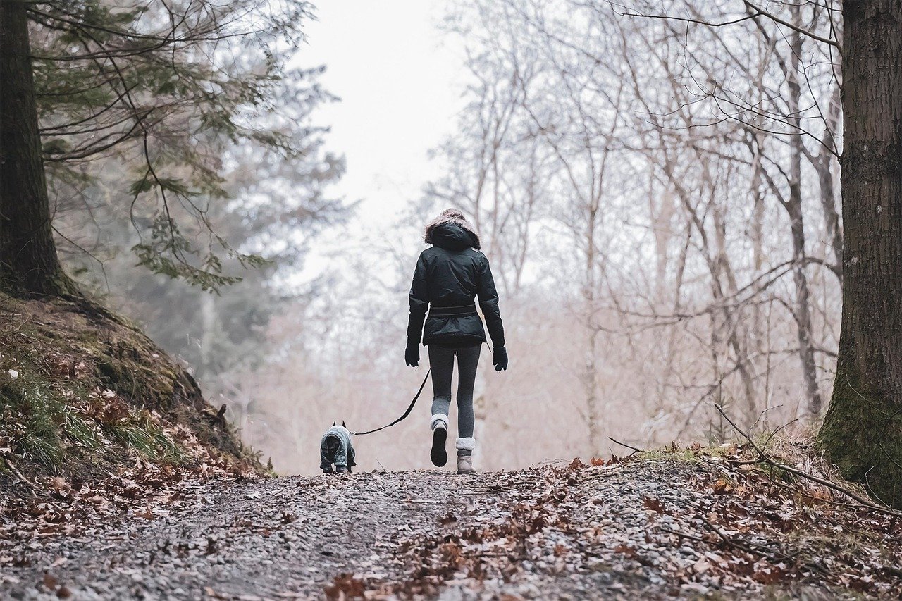 Trail Etiquette and Respect (image credits: pixabay)
