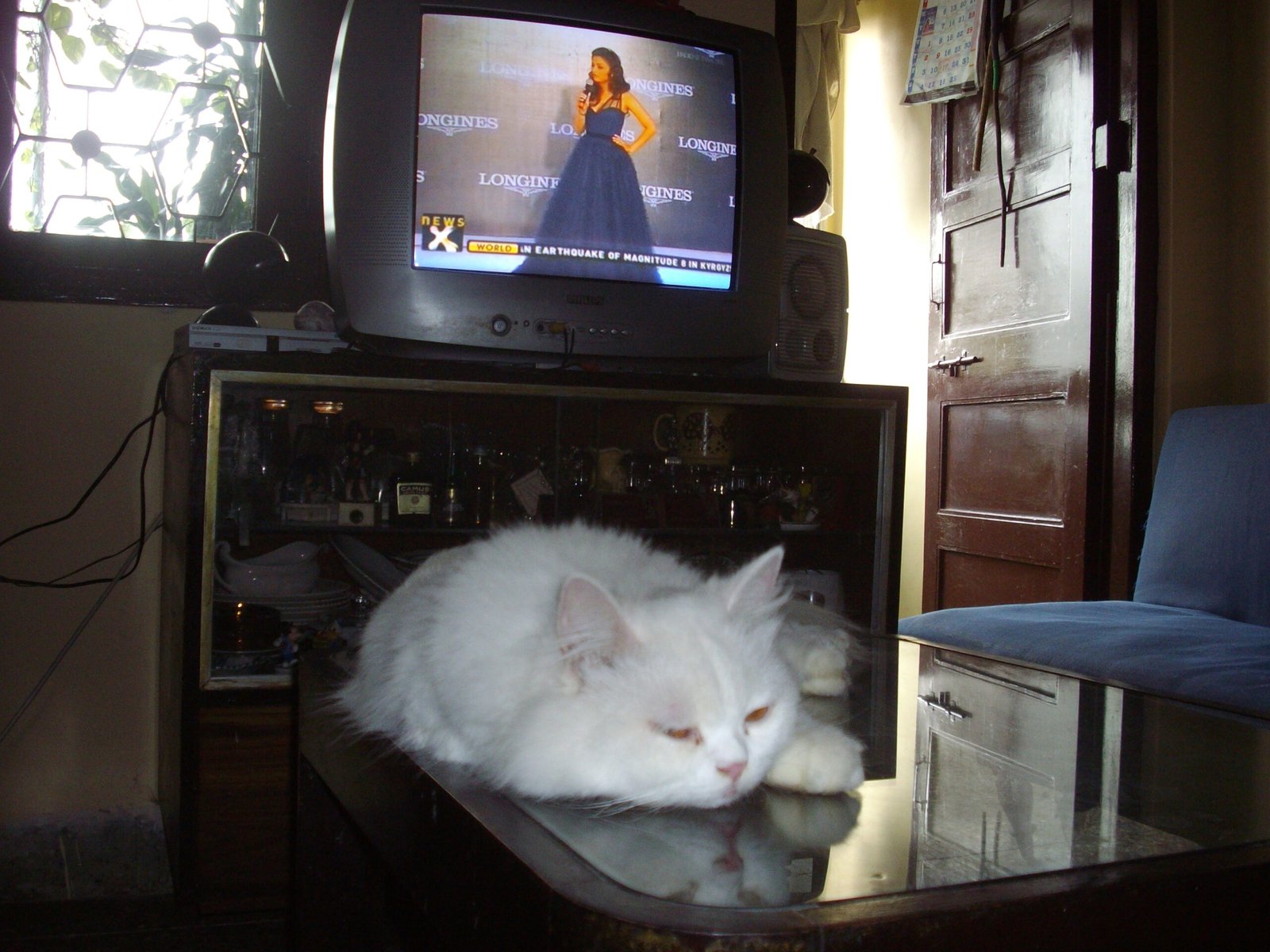 Your Voice Tells Them Everything (image credits: wikimedia)