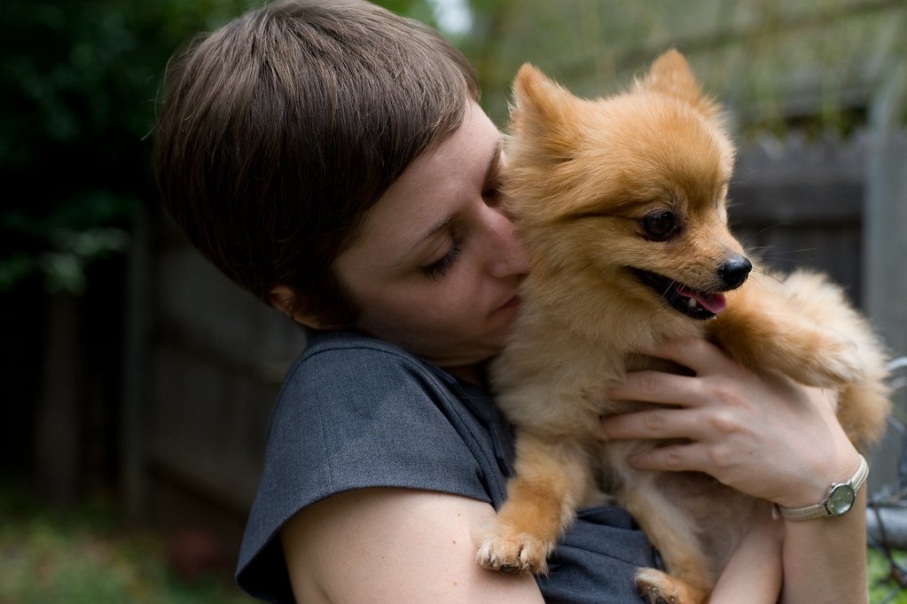 Socialization and Training: Setting Them Up For Success (image credits: flickr)