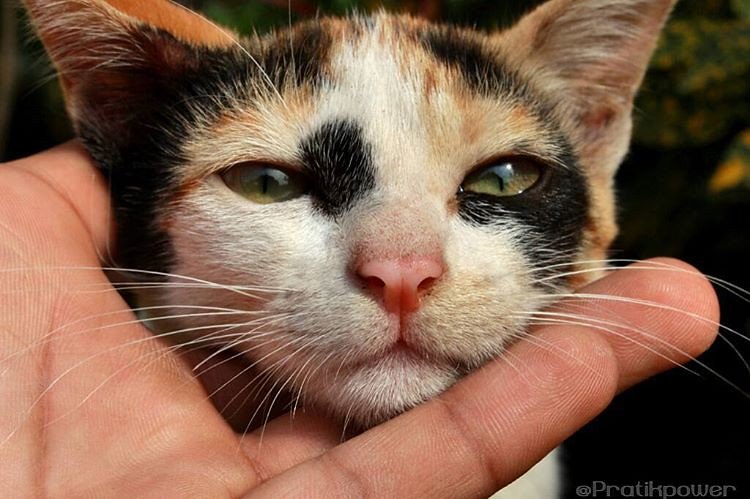 Conclusion (image credits: flickr)
