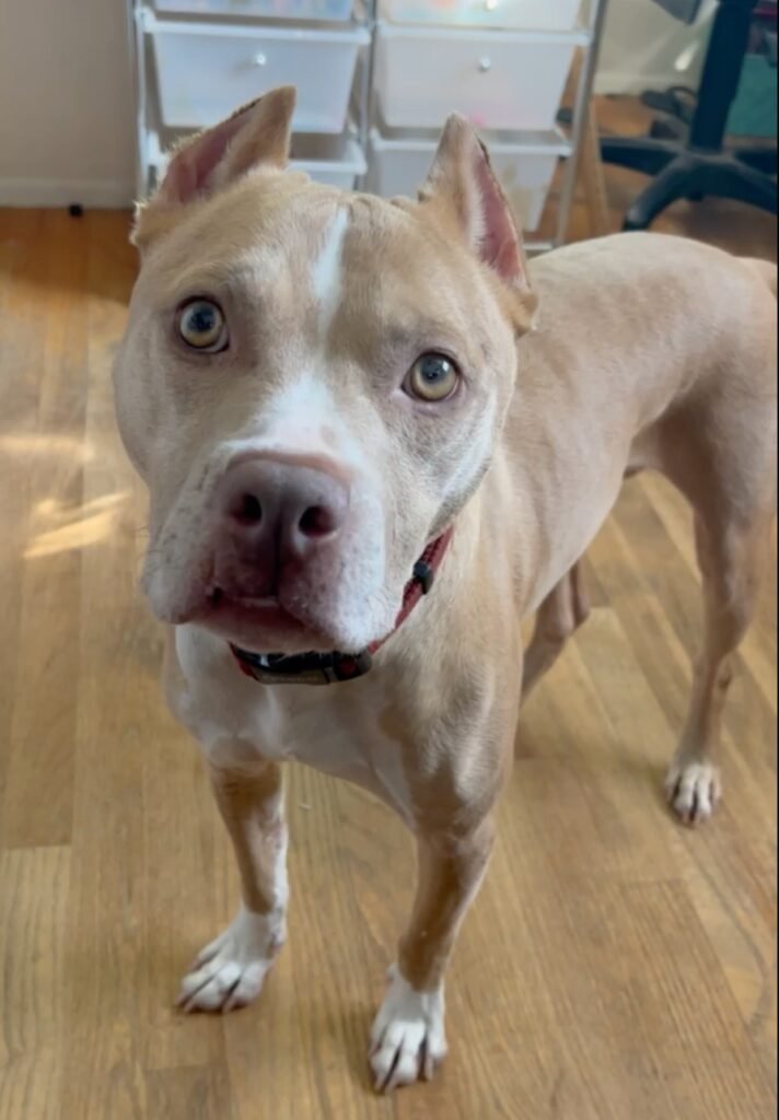 A Story That Restores Faith