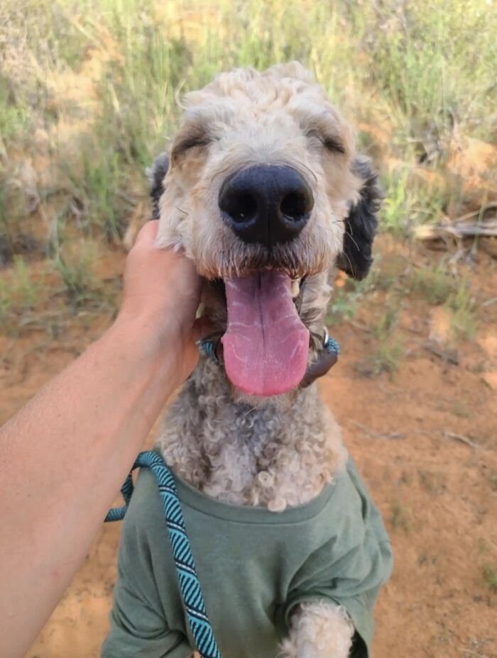 Healing with Kindness and Trust