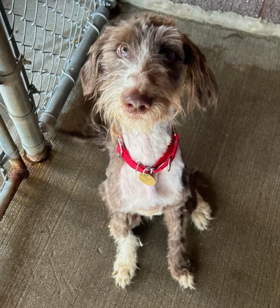 The Next Chapter Awaits