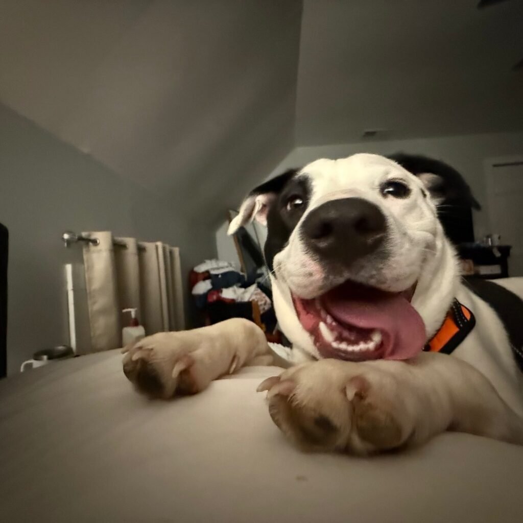 A Foster Home Full of Joy