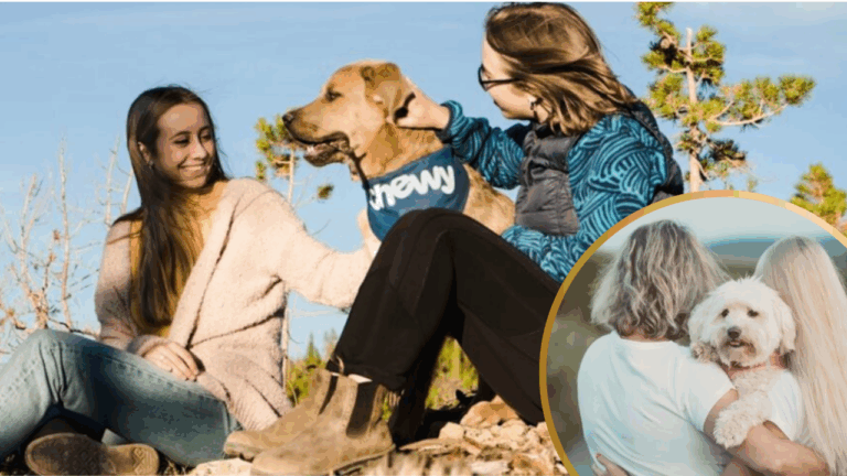 NY Judge Rules Dogs are Family