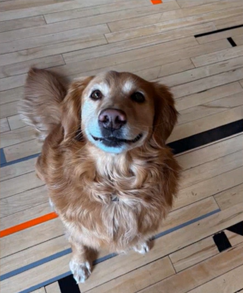 Meeting Astro Changed Everything