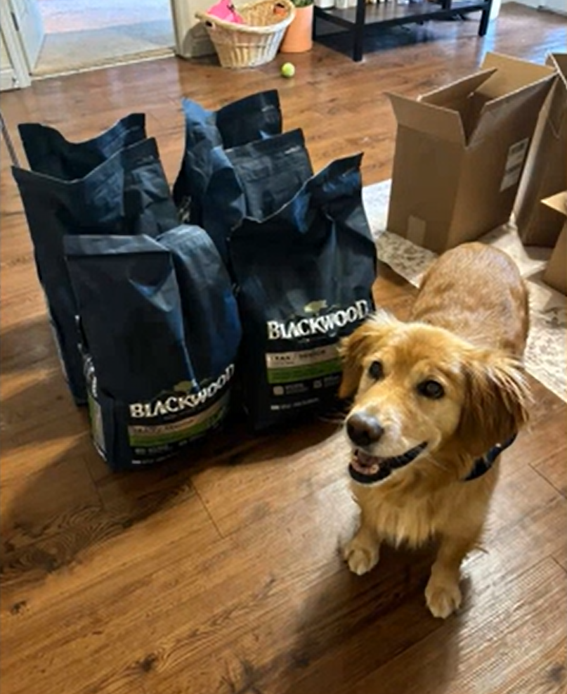 A Golden Year Love Story