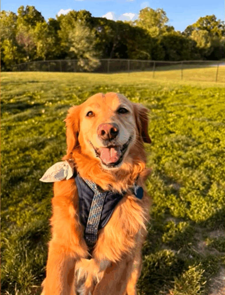 A Glowing Transformation