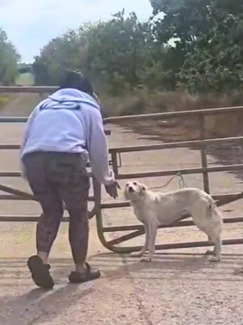 A Heartbreaking Discovery in the Heat