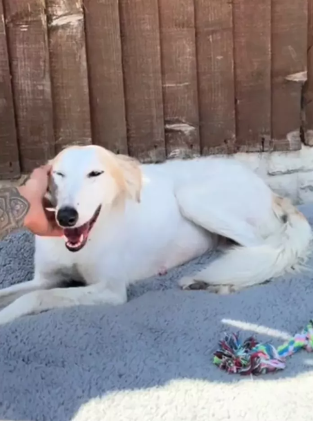 Kindness Can Save a Life