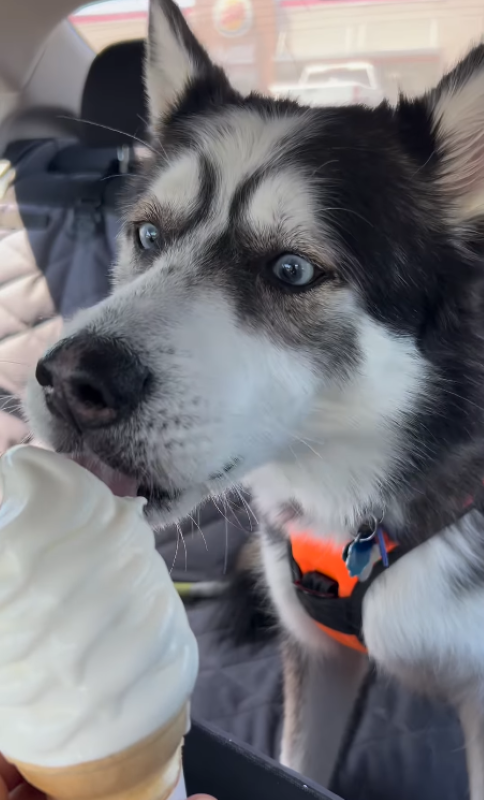 One Ice Cream Cone Away from Forever