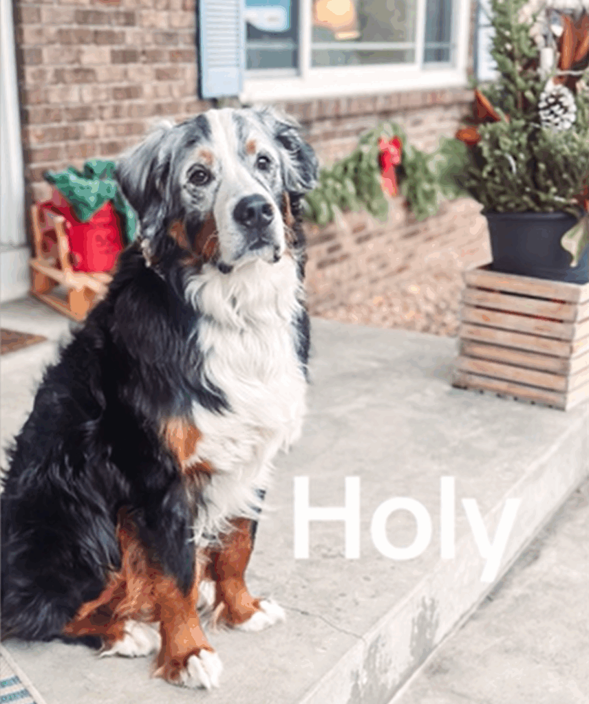 A Gentle Transformation Unfolds