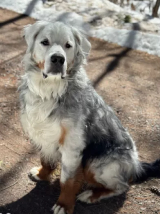 Bauer Embraces His New Look