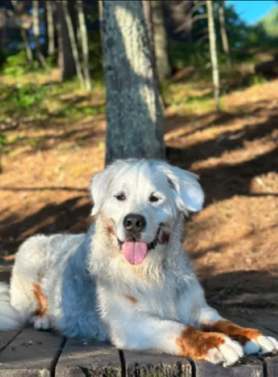 The Best Is Yet to Come