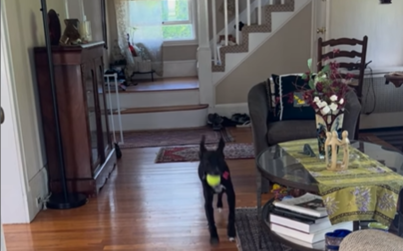 A Sweet Future Awaits