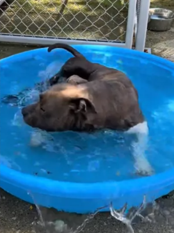 Still Waiting, But Not Forgotten