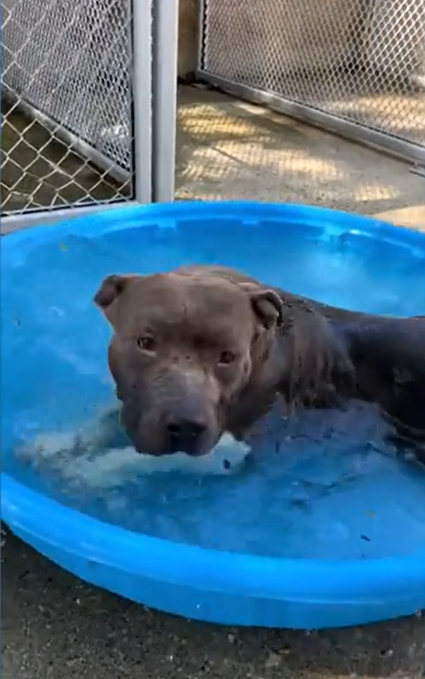 The Viral Star with the Big Smile